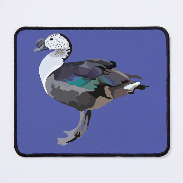 Item preview, A is for African Comb Duck,African Comb Duck Illustration – Unique Wetland Waterfowl Wildlife Art designed and sold by PrettylittlepastelUk.