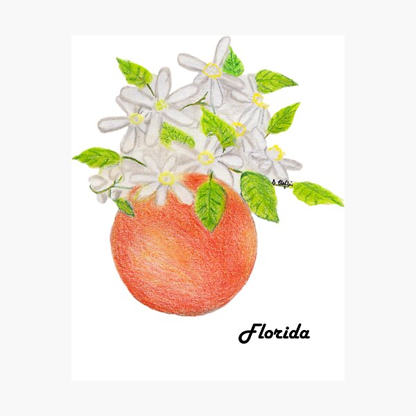 Item preview, 50 states 50 flowers: Florida designed and sold by sandrahlee.