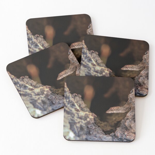 Item preview, Lizard on the rocks - Fine art photography designed and sold by nachodramis.