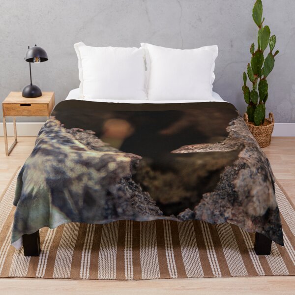 Item preview, Lizard on the rocks - Fine art photography designed and sold by nachodramis.