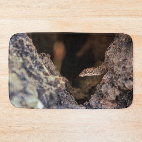 Item preview, Lizard on the rocks - Fine art photography designed and sold by nachodramis.