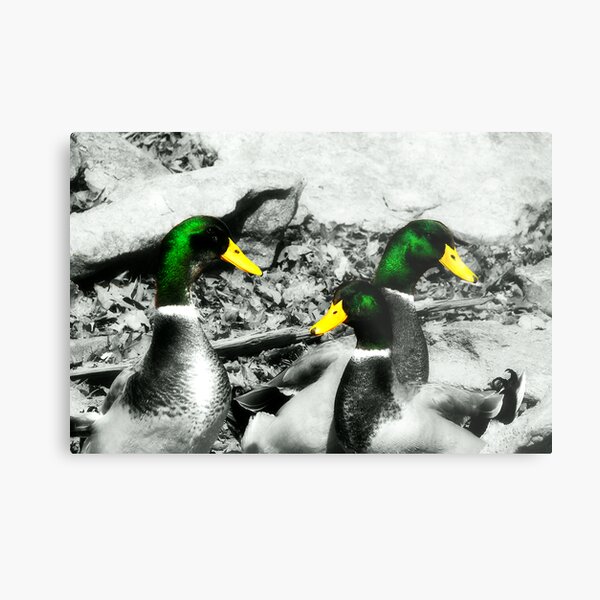 Gentleman’s Club Metal Print