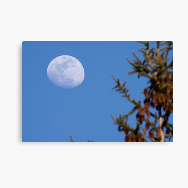 3-7 Moon AS IS Canvas Print