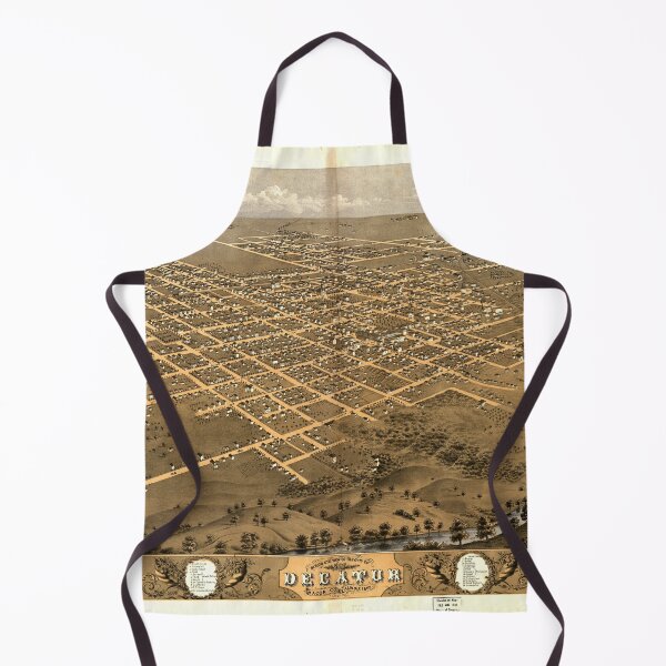 Item preview, Decatur, Illinois (1869) designed and sold by allhistory.