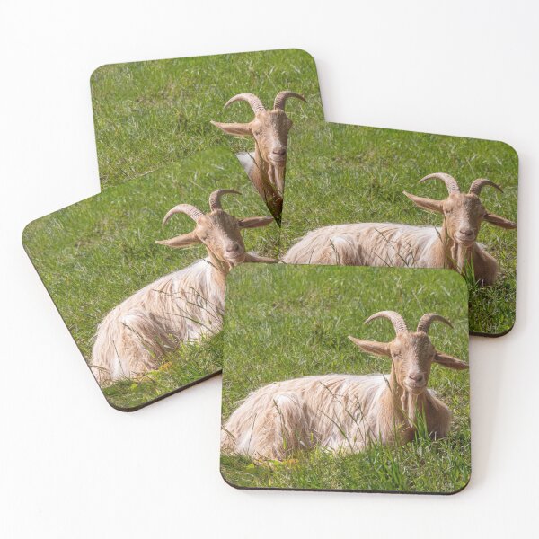 Item preview, Happy looking British Guernsey goat sitting on grass designed and sold by bailey-cooper.