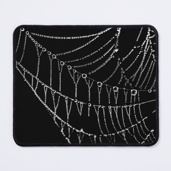 Item preview, Spiders Web designed and sold by photobytableau.