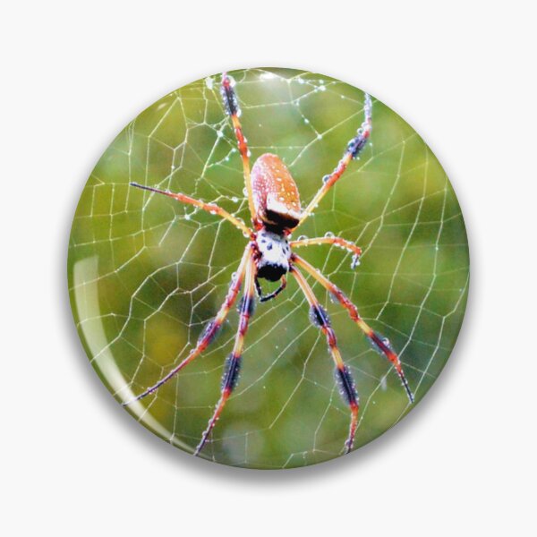Item preview, Rain Soaked Orb-Weaver designed and sold by What I See by Dawne.