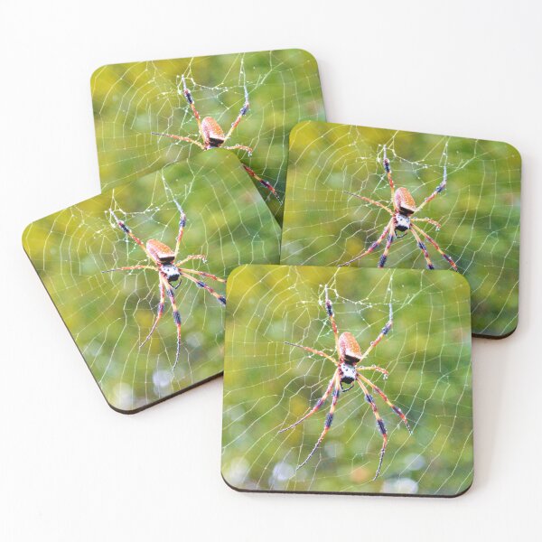 Item preview, Rain Soaked Orb-Weaver designed and sold by What I See by Dawne.
