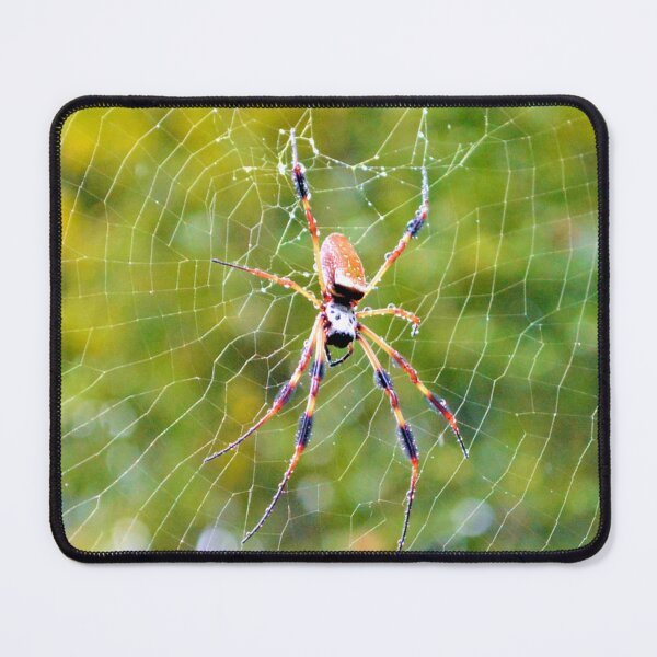 Item preview, Rain Soaked Orb-Weaver designed and sold by What I See by Dawne.