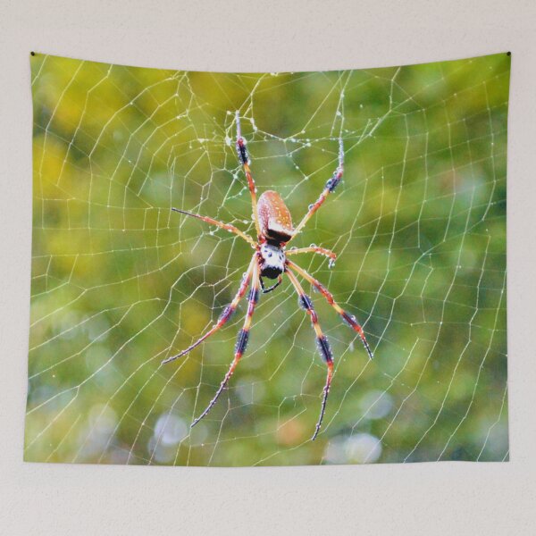 Item preview, Rain Soaked Orb-Weaver designed and sold by What I See by Dawne.