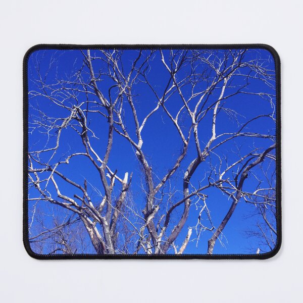 Item preview, Dead Tree Defiance designed and sold by Ladydi.