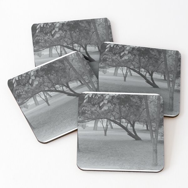 Item preview, Campus Park designed and sold by dbclemons.