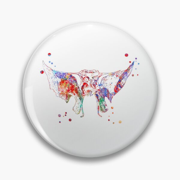 Item preview, Sphenoid Bone designed and sold by Rosaliartbook.