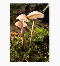 Small world Photographic Print