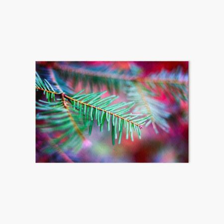 Red In Pine Art Board Print