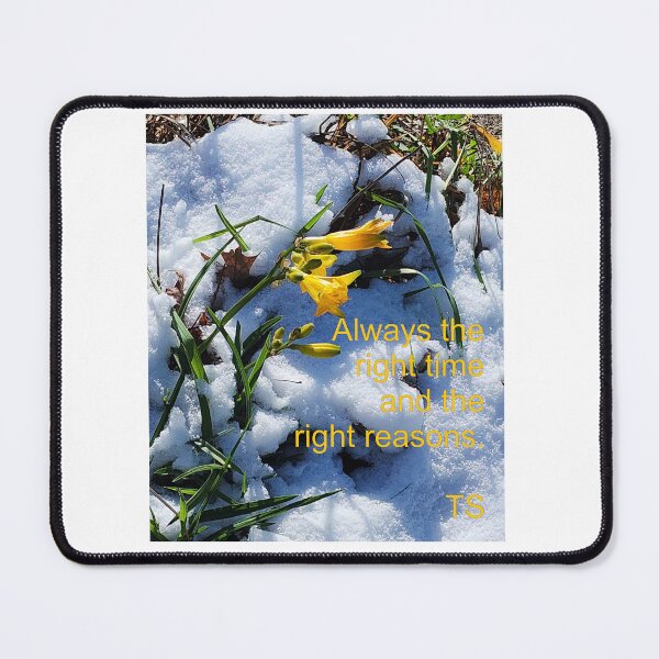 Item preview, Always the right time, and the right reasons. Yellow Lilly Against Snow. designed and sold by TerScott.