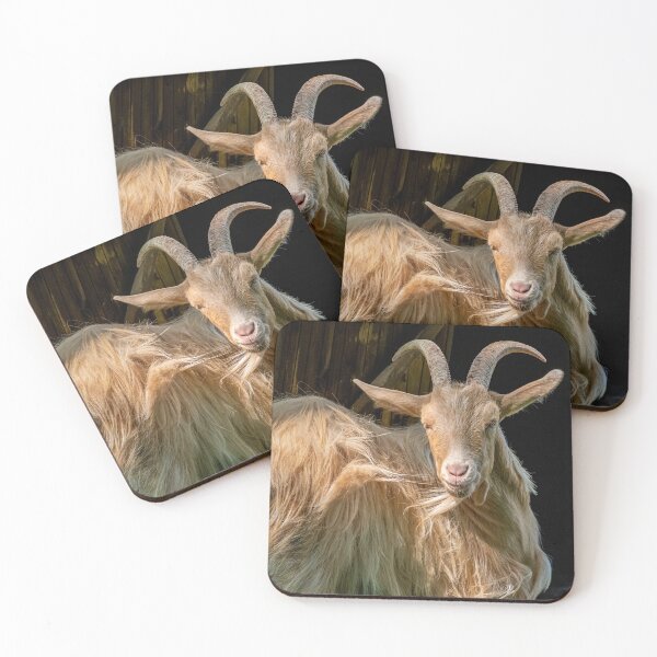 Item preview, British Guernsey goat's wind-swept fur gleams in sunlight designed and sold by bailey-cooper.