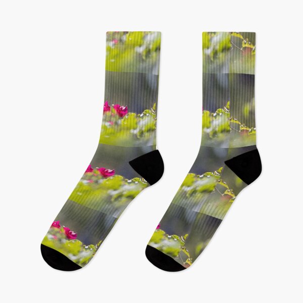 Artikelvorschau, Blumen durch die Blätter entworfen und verkauft von Wayne Thomson.