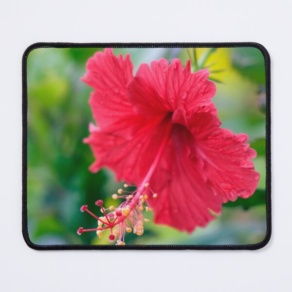 Item preview, Rose Red Tropical Offering designed and sold by Kerryn Madsen-Pietsch.