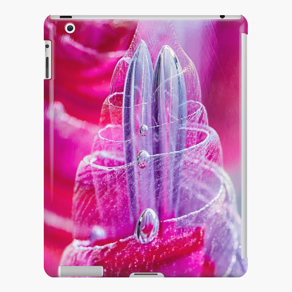 Item preview, iPad Snap Case designed and sold by Dburstei.