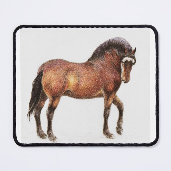 Item preview, Welsh stallion in colored pencil designed and sold by KJL90.