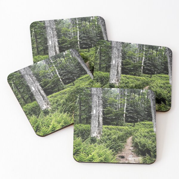 Item preview, Fern Paths designed and sold by Jason Tompkins.