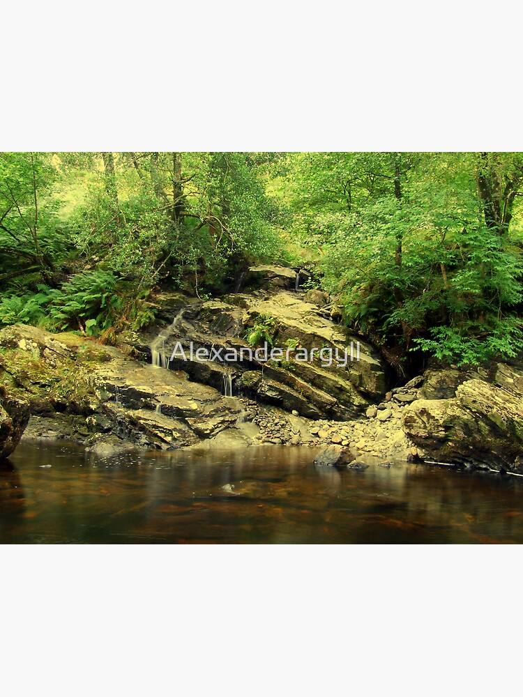 Green and Brown by Alexanderargyll