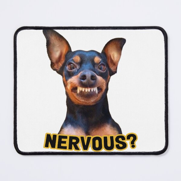 Item preview, Pinsche funny nervous dog  designed and sold by shacalacah.