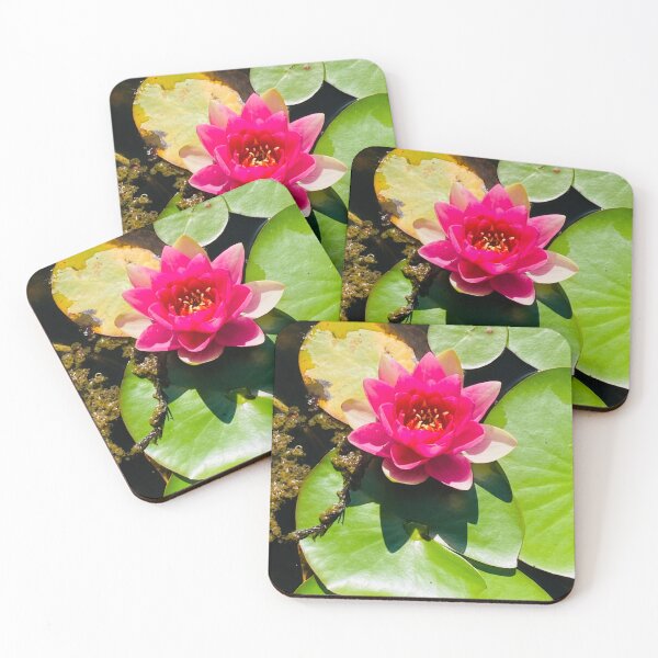Item preview, Pink Flower on Lily Pad  designed and sold by emscaroline.
