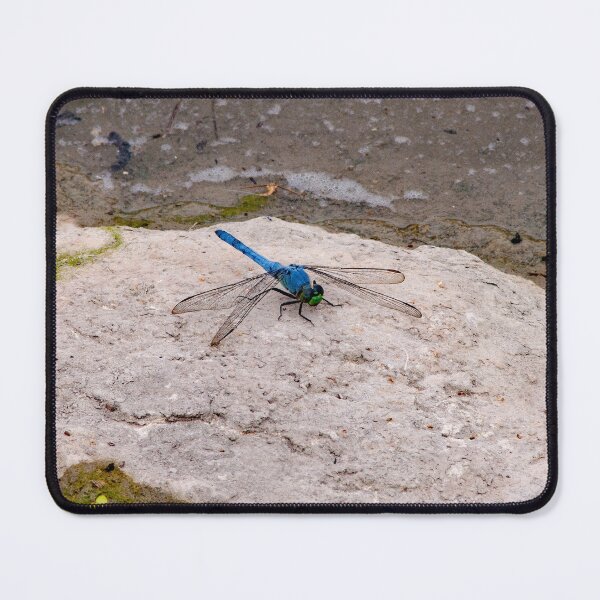 Item preview, Give A Dragonfly Kiss To Your Lover~The dragonfly symbolizes wisdom, change, transformation, light and adaptability in life.  designed and sold by MoreEZUSA-Here.
