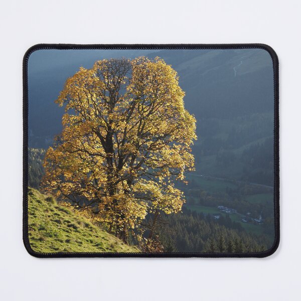 Item preview, Great tree of nature designed and sold by Atena42.
