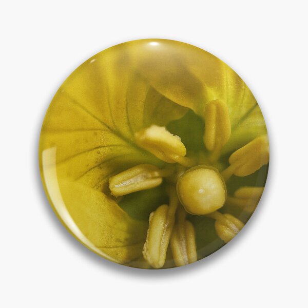 Item preview, Evening Primrose designed and sold by Jason Tompkins.