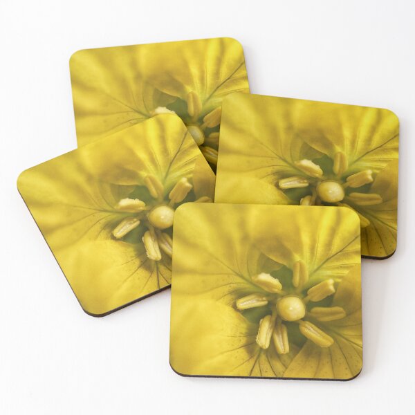 Item preview, Evening Primrose designed and sold by Jason Tompkins.