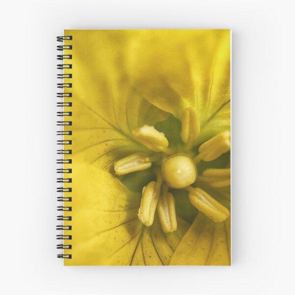 Item preview, Evening Primrose designed and sold by Jason Tompkins.
