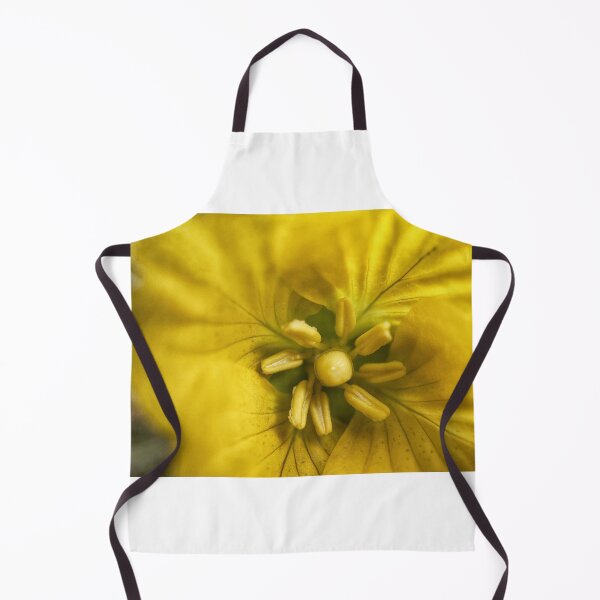 Item preview, Evening Primrose designed and sold by Jason Tompkins.