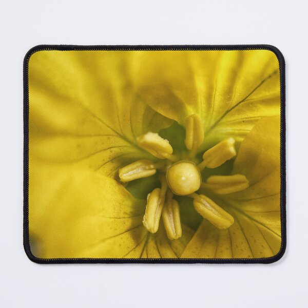 Item preview, Evening Primrose designed and sold by Jason Tompkins.