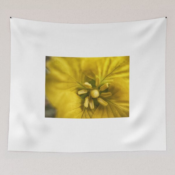 Item preview, Evening Primrose designed and sold by Jason Tompkins.