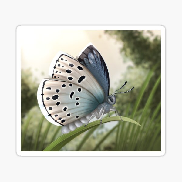 Item preview, Large blue butterfly portrait designed and sold by DragonArtist15.