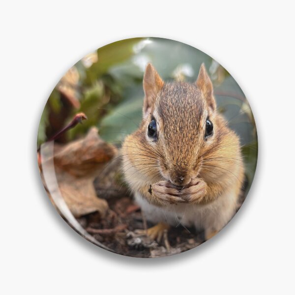 Item preview, Cookie the Chipmunk designed and sold by WildSideofWNY.