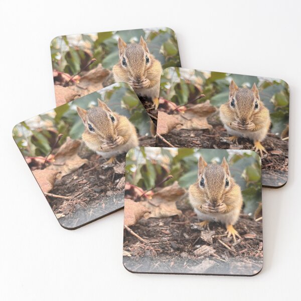 Item preview, Cookie the Chipmunk designed and sold by WildSideofWNY.
