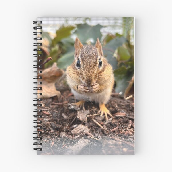 Item preview, Cookie the Chipmunk designed and sold by WildSideofWNY.