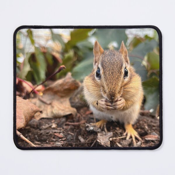 Item preview, Cookie the Chipmunk designed and sold by WildSideofWNY.