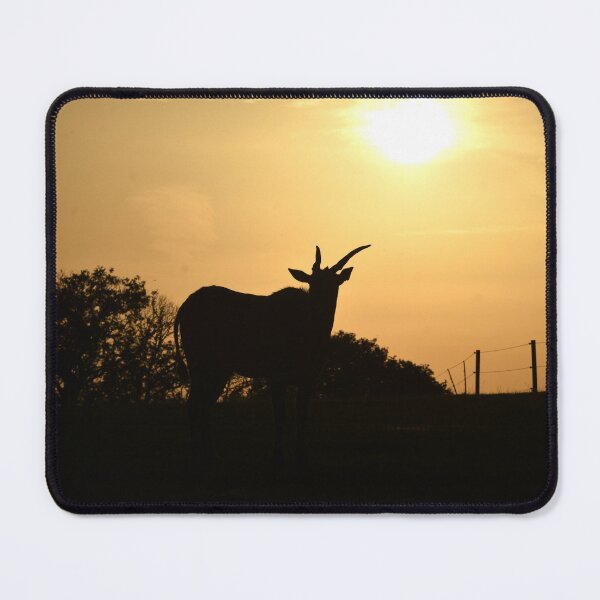 Item preview, Eland 2 designed and sold by megjayne-photos.