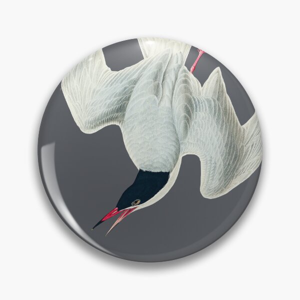 Item preview, Audubon's common (great) tern designed and sold by Herons.
