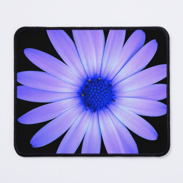 Item preview, Delta Rose, blue daisy, black background designed and sold by fradeknot.