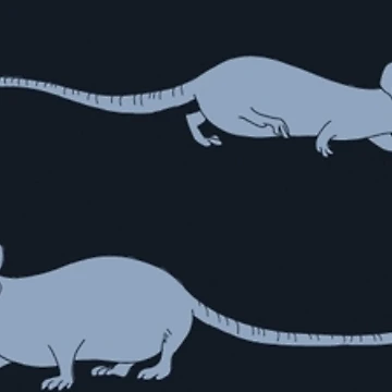 Artwork thumbnail, Rats! Rats! Rats! by smarshsuns