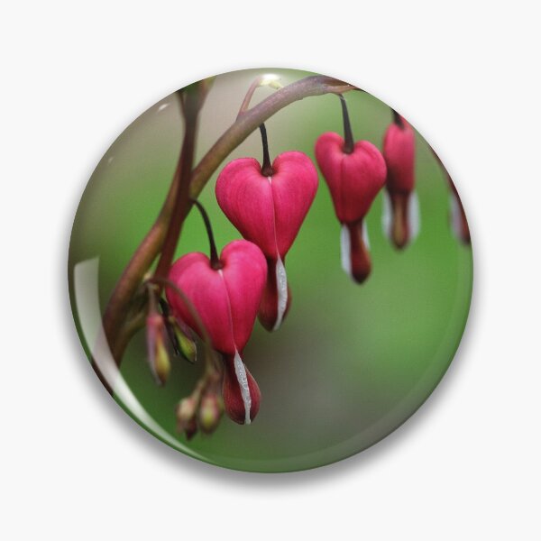 Item preview, Bleeding Hearts designed and sold by Debbie Oppermann.