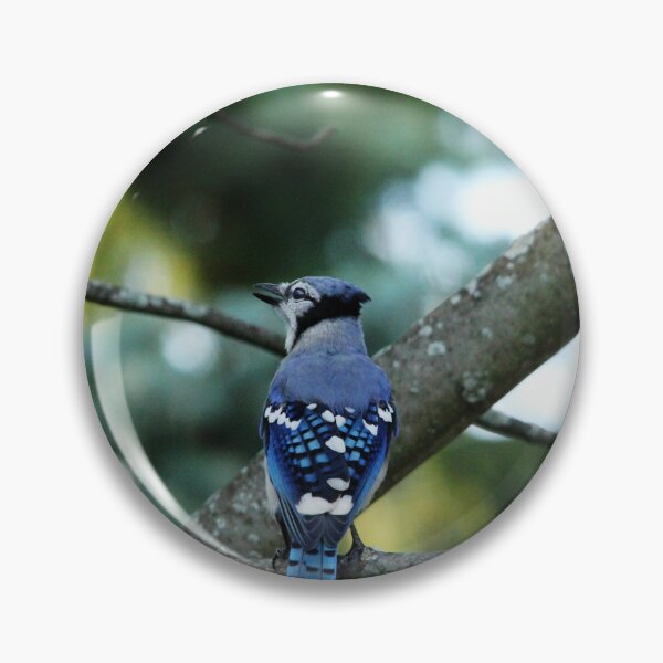 Item preview, Singing The Blues - Blue Jay designed and sold by Debbie Oppermann.