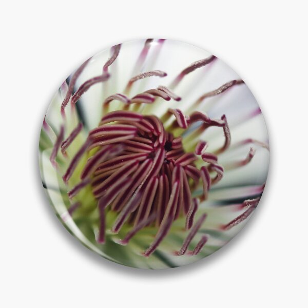 Item preview, Classic White Clematis designed and sold by Debbie Oppermann.