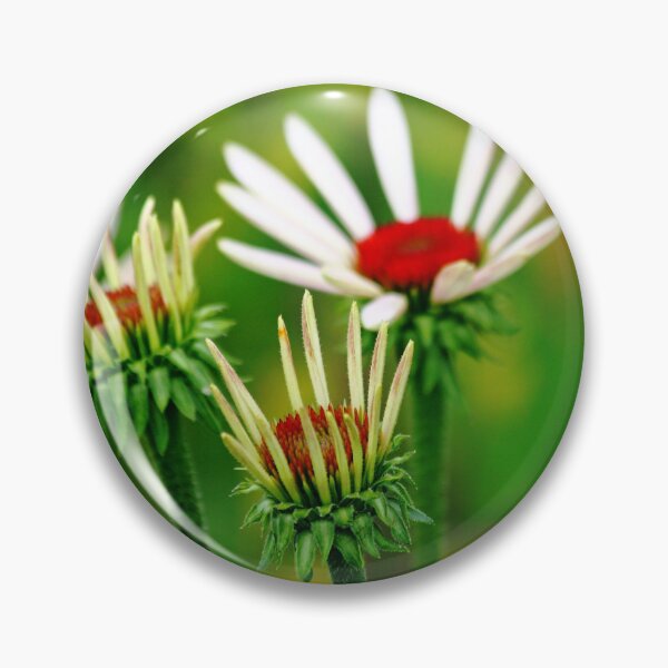 Item preview, Echinacea designed and sold by Debbie Oppermann.